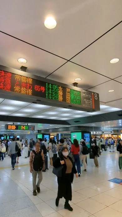 Inside Tokyo station on a week...