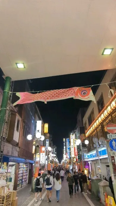 Many carp streamers were decor...