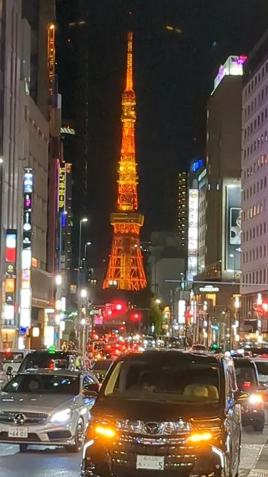 Nightlife in the Roppongi area...