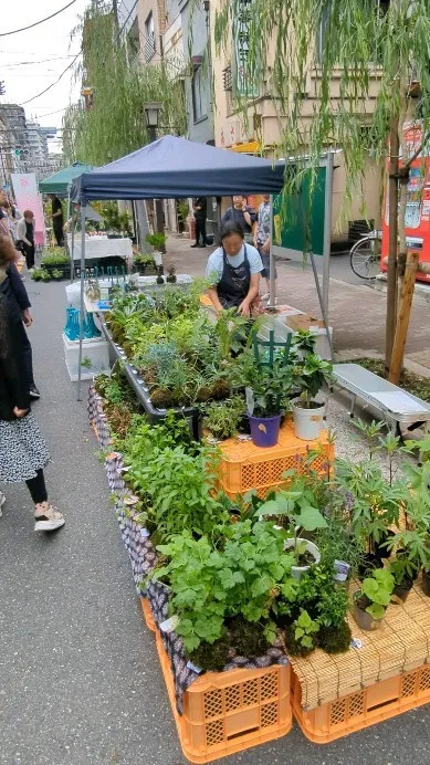 Bonsai and flower market in To...