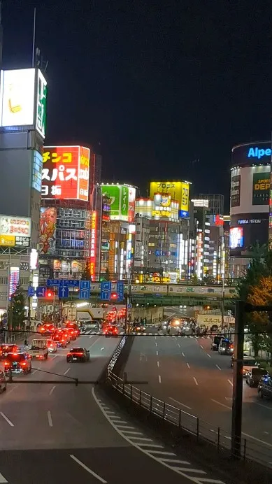 A tour around Shinjuku is full...