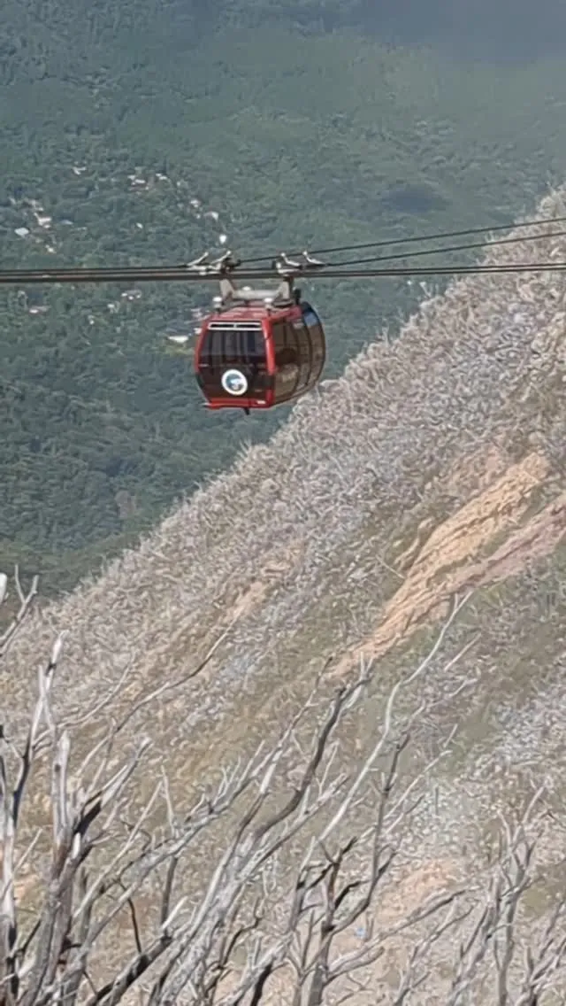 Tours to Hakone includ a ropwa...